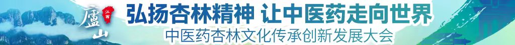 快点用力流水了中医药杏林文化传承创新发展大会